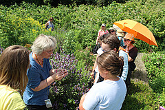 Professorin Jäkel zeigt eine Gruppe von Personen etwas in ihrer Hand. Das Bild wurde im Ökogarten aufgenommen.