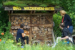 Wildbienenhotel im Ökogarten. 