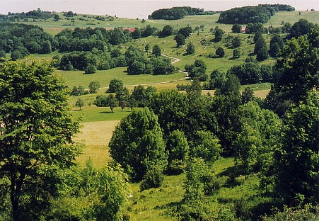 Foto des Naturschutzgebietes Randecker Maar/ Schwäbische Alb