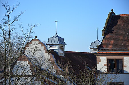 Dach der Mehrzweckhalle der Hochschule.