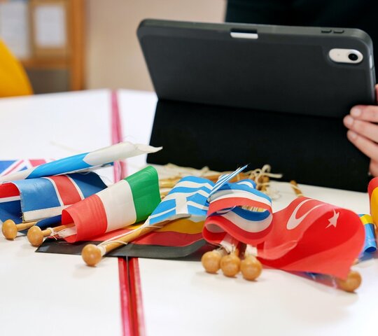 Ein Bild mit Länderflaggen