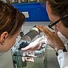 (c) Pädagogische Hochschule Heidelberg Das Foto zeigt zwei Studierende die gemeinsam etwas betrachten.