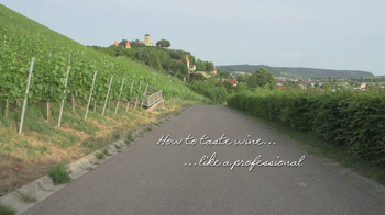 Titelbild des Videos zur studentischen Arbeit "How to taste wine like a professional"