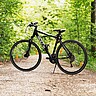 Ein Fahrrad steht auf einem Waldweg