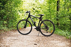 Ein Fahrrad steht auf einem Waldweg