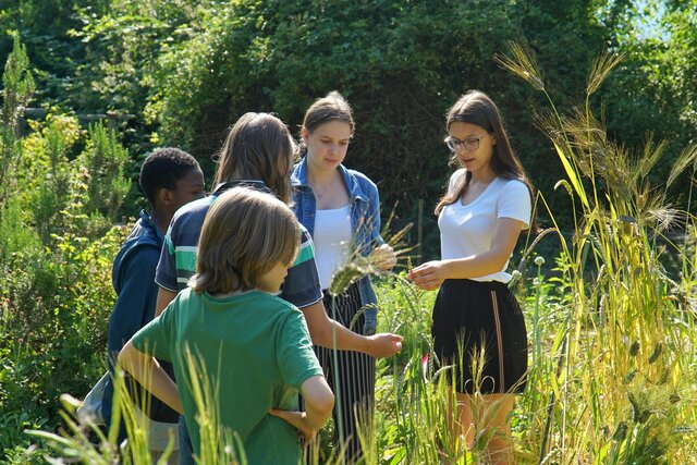 Studierende im Ökogarten im Gespräch