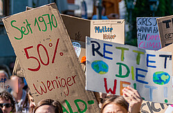 Das Foto zeigt wie Demonstranten ihre Plakate für den Klimaschutz hoch halten.