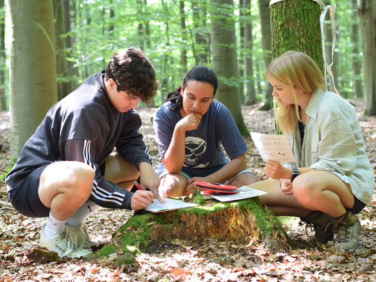 3 Studierende in Sommerkleidung sitzen im Wald in der Hocke um einen Baumstumpf und versuchen eine Aufgabe zu lösen.