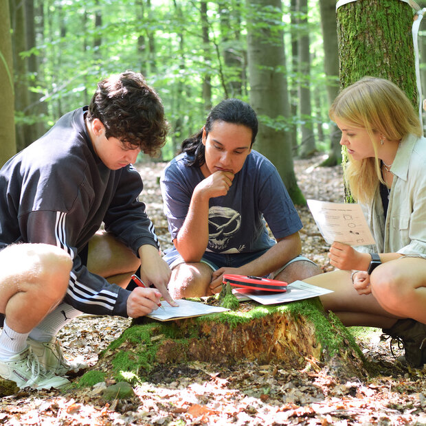 3 Studierende in Sommerkleidung sitzen im Wald in der Hocke um einen Baumstumpf und versuchen eine Aufgabe zu lösen.