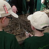 Foto: Projekt