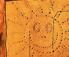 © Prof. Dr. Jäkel