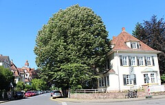 Das Symbolbild zeigt den Standort Zeppelinstraße 1. Dort sitzt das Studierendenparlament der Hochschule.