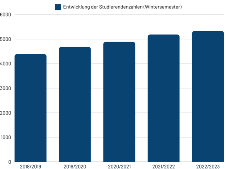 Infografik zu Studierendenzahlen an der PH Heidelberg in allen Studiengängen.