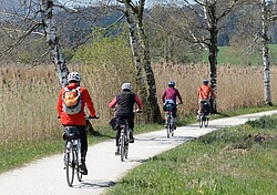 vier hintereinander fahrende Fahrradfahrer auf einem Feldweg.