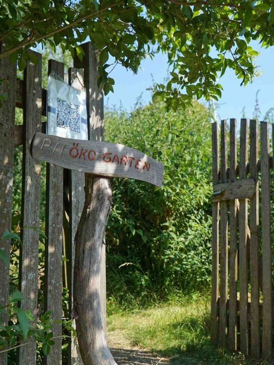 Zu sehen ist das Eingangsschild in den Ökogarten der PH Heidelberg, einen außerschulischen Lernort.