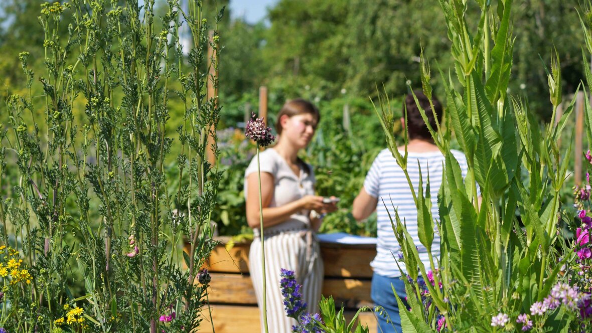 Zwei Mitarbeiterinnen der Pädagogischen Hochschule Heidelberg unterhalten sich im Ökogarten.