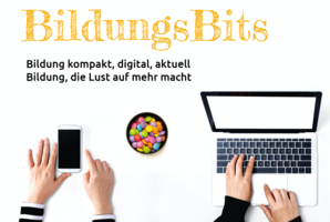 BildungsBits Flyer