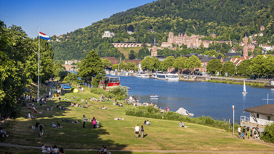 Blick von der Theodor-Heuss-Brücke über Neckar zu Altstadt und Schloss