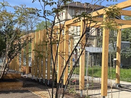 Zu sehen ist ein Holzgerüst auf einer Grünfläche mit Pflanzen