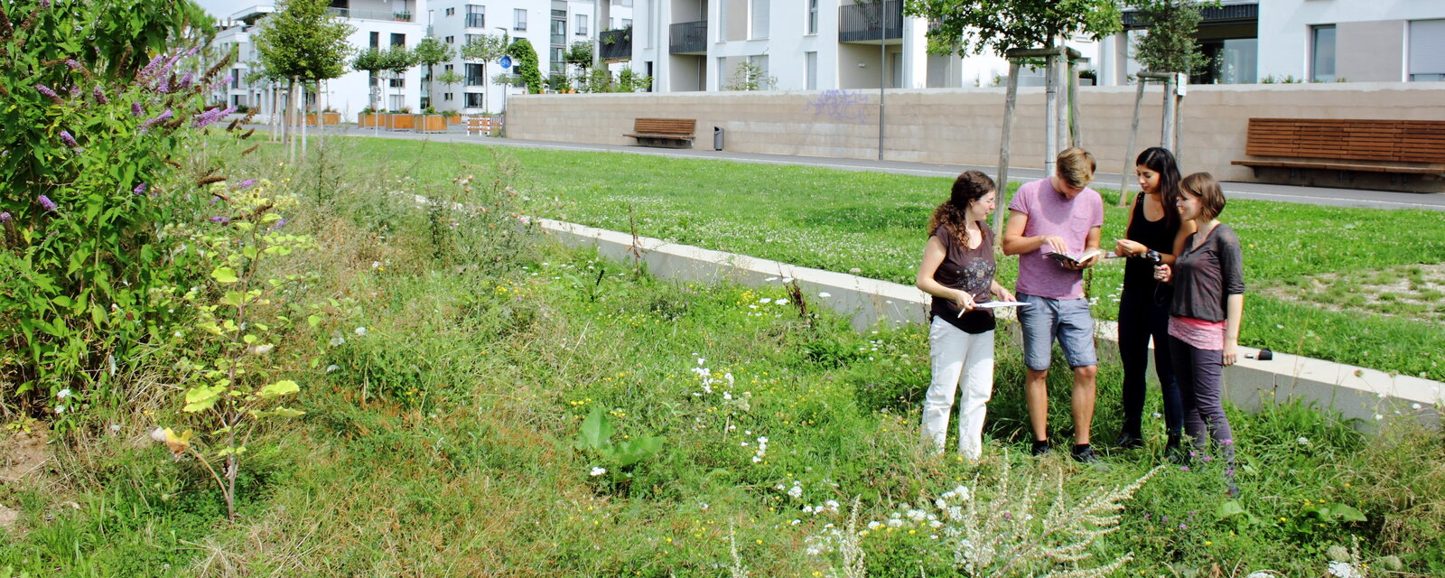Studierende des BNE Studiengangs, welches dem Heidelberger Zentrum Bildung für Nachhaltige Entwicklung zugeteilt ist, forschen und nehmen Proben im Grünen im Stadtteil der Bahnstadt.