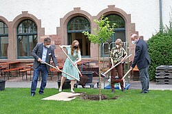 vier Personen beim Einpflanzen eines Baumes. 