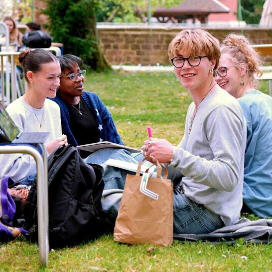 Zu sehen sind Studierende, die auf einer Wiese sitzen.