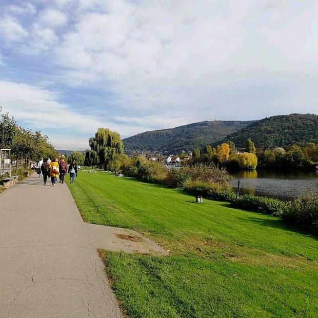 Person macht Qigong auf einem Feld, Sonnenstrahlen im Hintergrund