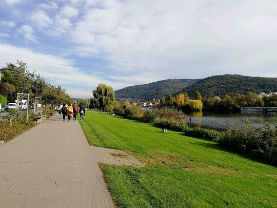 Person macht Qigong auf einem Feld, Sonnenstrahlen im Hintergrund