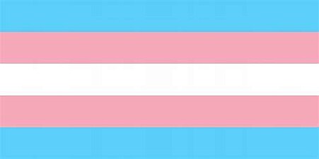 trans Flagge mit den horizontalen Streifen blau rosa weiß rosa blau 