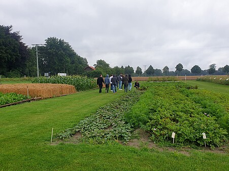 Zu sehen ist ein grünes Feld, auf dem Menschen umherlaufen.