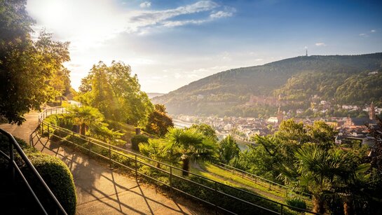 Blick vom Philosophenweg auf Altstadt und Schloss