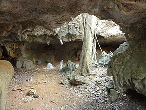 Kubaexkursion: Höhle