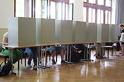 Menschen bei den Hochschulwahlen an Tischen die voneinander durch einen Sichtschutz abgetrennt sind.