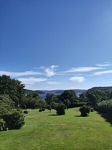 Wiese mit blauem Himmel