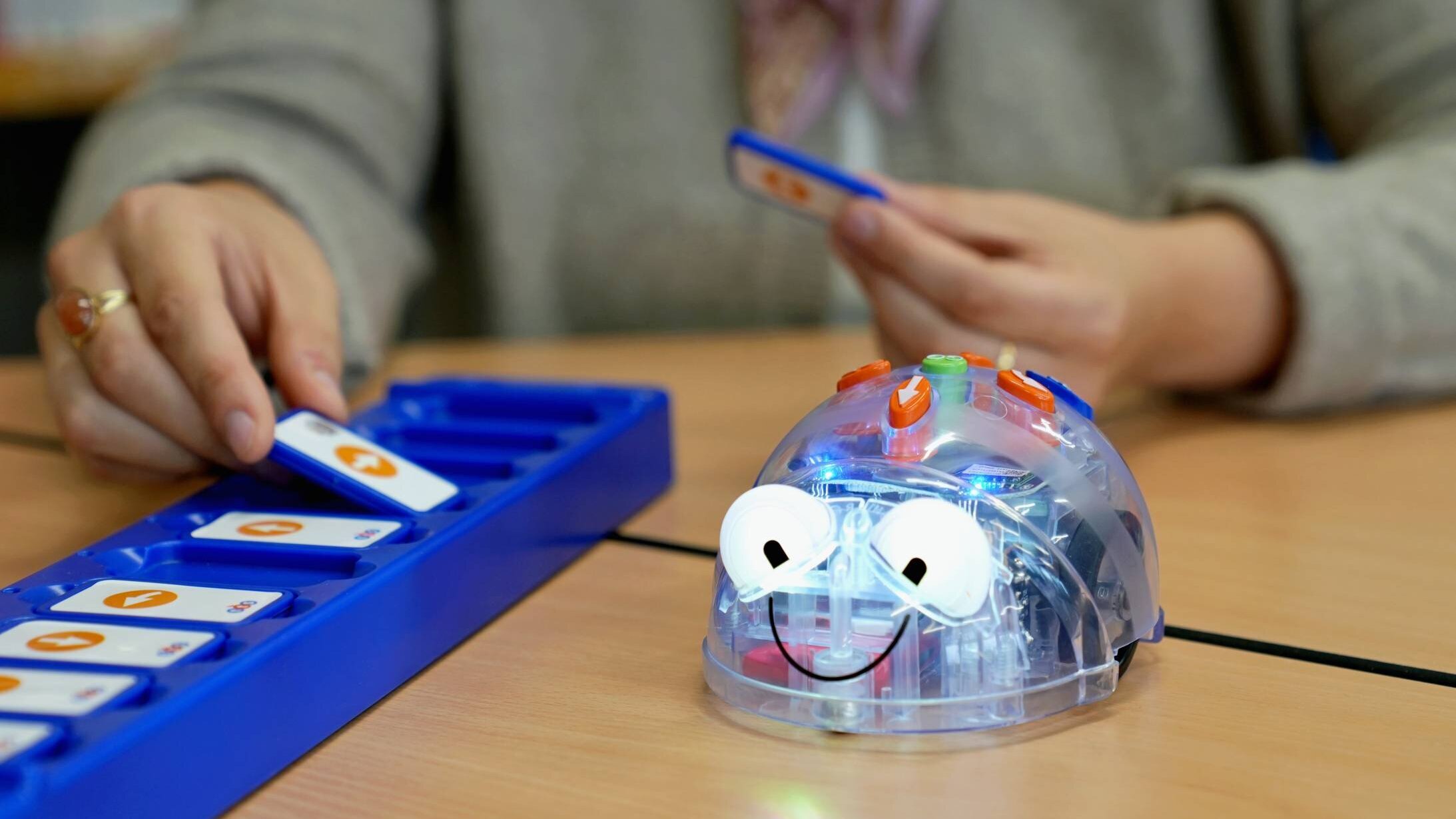 Zu sehen ist ein Werkzeug der Didaktischen Werkstatt Sachkunde.