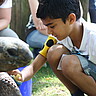 (c) Pädagogische Hochschule Heidelberg
