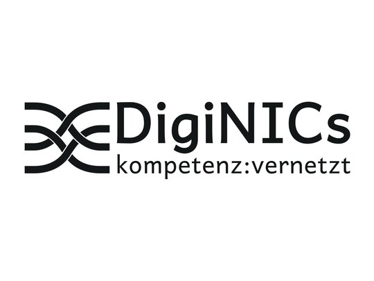 DigiNICs Logo