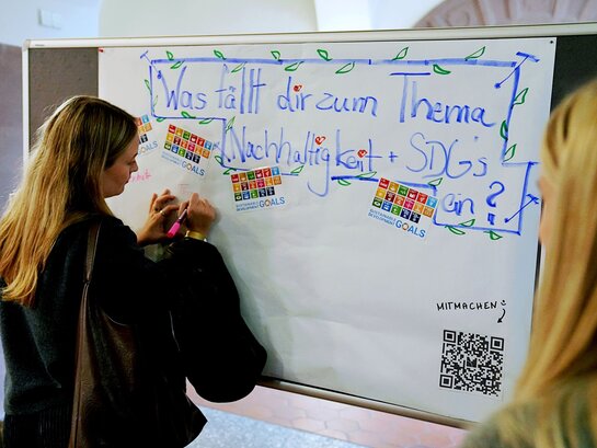 Das Foto zeigt eine Person, welche an einer Tafel schreibt.