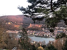 Blick auf Heidelberg