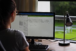 Das Symbolbild zeigt eine junge Frau, die vor einem Computerbildschirm sitzt. Sie ist von hinten zu sehen. Copyright Pädagogische Hochschule Heidelberg.