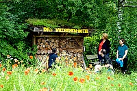 Auf dem Bild ist vorne eine wilde Wiese zu sehen. Im Hintergrund sieht man vier Personen vor einem Bienenhotel. Das Bild wurde im Ökogarten der Hochschule aufgenommen. Copyright: PH Heidelberg