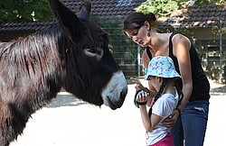 Auf dem Bild ist ein Esel zu sehen der vor einem kleinen Mädchen steht, das von seiner Mutter von hinten umarmt wird.