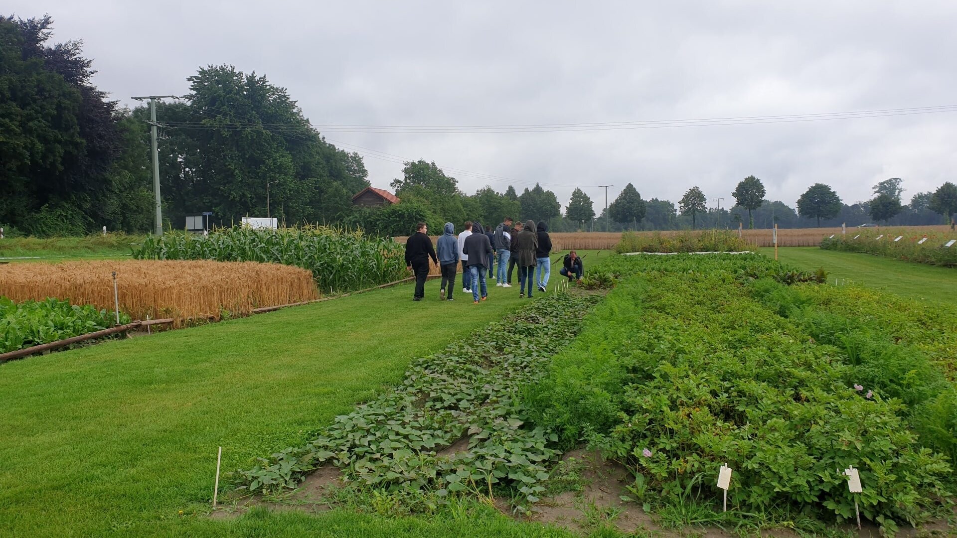 Zu sehen sind Azubis von Südzucker auf einem Feld bei einem Workshop.