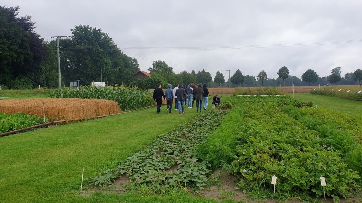 Zu sehen sind Azubis von Südzucker auf einem Feld bei einem Workshop.