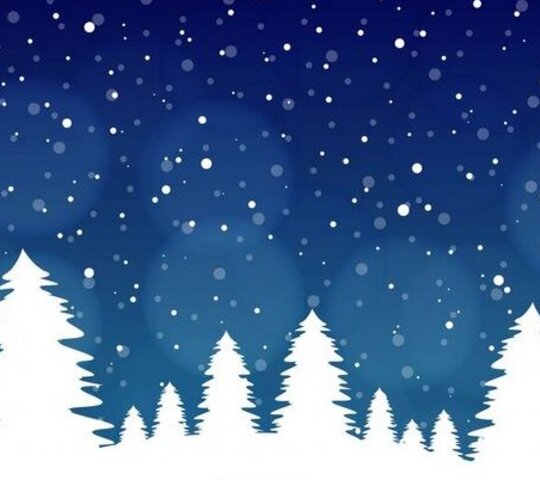 Das Bild zeigt einen Winterwald.