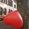 Ein Herzluftballon hängt an einem Baum vorm Altbau der PH Heidelberg