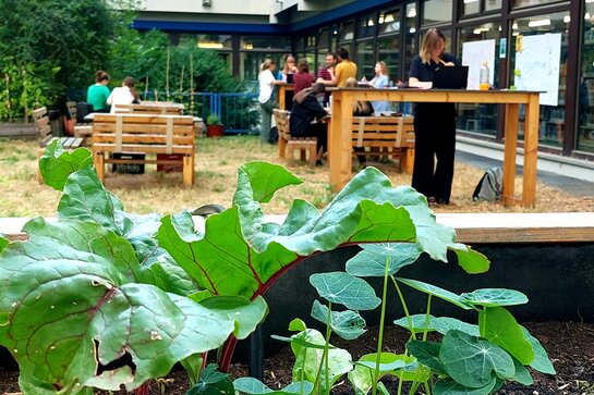 Abgebildet ist die Seminarwiese am Neubau. Neben Hochbeeten gibt es dort Sitz- und Stehtische für Lehrveranstaltungen. Studierende lernen an den Tischen