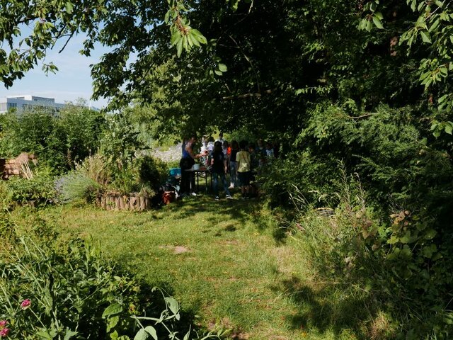 Ökogarten