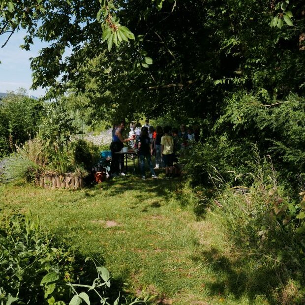Ökogarten
