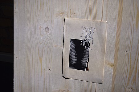 Einblick in die Werkschau